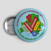 Значок Школа №1 Гомель